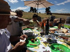 God's Hill Wines - Attractions Brisbane 0