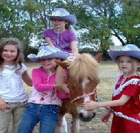 Amberainbow Pony Rides - Attractions Brisbane