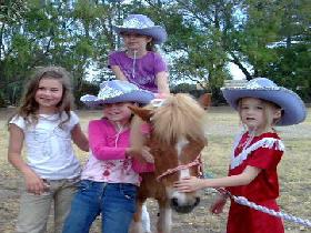 Amberainbow Pony Rides - Attractions Brisbane 0