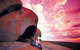 Remarkable Rocks, Flinders Chase National Park - thumb 0