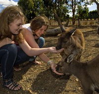 Kangaroo Island Wildlife Park - Attractions Brisbane