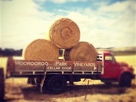 Moorooroo Park Vineyards - Attractions Brisbane 0