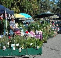 Meadows Monthly Market - Attractions Brisbane