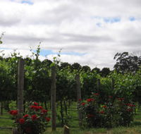 Manyara Vineyard - Attractions Brisbane