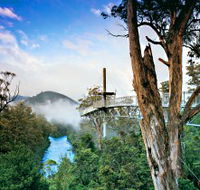 Tahune Adventures Tasmania - Attractions Brisbane