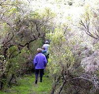 Jack And Hilda McArthur Walk - Attractions Brisbane