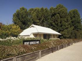  Attractions Brisbane