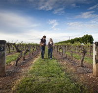 Coonawarra Wineries Walking Trail - Attractions Brisbane