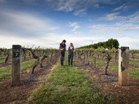 Coonawarra Wineries Walking Trail - Attractions Brisbane 0