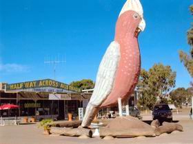  Attractions Brisbane