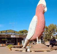 The Big Galah - Attractions Brisbane