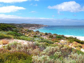 Marion Bay SA Attractions Brisbane