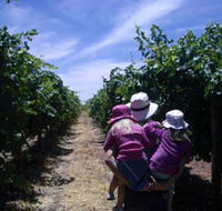 McLaren Vale Orchards - Attractions Brisbane