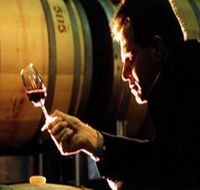 Salena Estate Wines - Attractions Brisbane