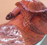 Ants Redgum Gallery - Attractions Brisbane