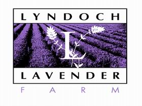 Lyndoch Lavender Farm And Cafe - Attractions Brisbane 0