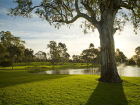 Serafino Wines - Attractions Brisbane 0