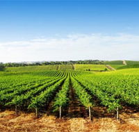 Aldinga Bay Winery - Attractions Brisbane