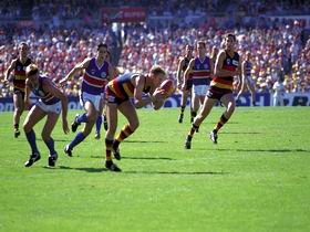 AAMI Stadium Tours - Attractions Brisbane 0