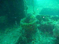Wallaroo Scuba Club