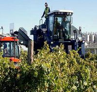 Ballast Stone Estate Wines Pty Ltd - Attractions Brisbane