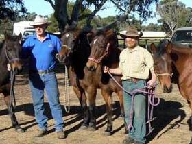 Coffin Bay SA Attractions Brisbane
