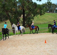 Megan Jones Riding School and Trail Rides - Attractions Brisbane