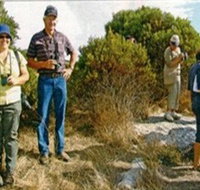 Coobowie Bird Hide - Attractions Brisbane