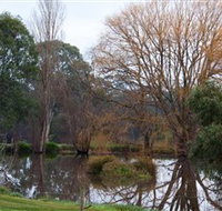 Gemtree Wetlands Ecotrail - Attractions Brisbane