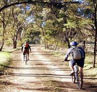 Bike About Mountain Bike Tours And Hire - Attractions Brisbane