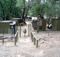 Humbug Scrub Wildlife Sanctuary - Attractions Brisbane