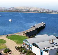 Granite Island Nature Park - Guided Penguin Tours - Attractions Brisbane