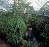Bicentennial Conservatory - Attractions Brisbane