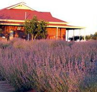 Bella Lavender Estate - Attractions Brisbane