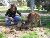 Book Keith Accommodation Vacations Attractions Brisbane Attractions Brisbane