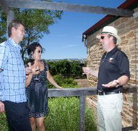 Shingleback Wine Cellar Door - Attractions Brisbane