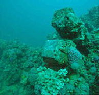 Adelaide's Underwater Heritage Trail - Attractions Brisbane