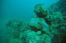 Adelaide's Underwater Heritage Trail - Attractions Brisbane 0