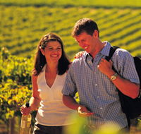 Lady Bay Vineyard - Attractions Brisbane