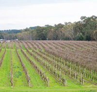 Dennis Wines - Attractions Brisbane