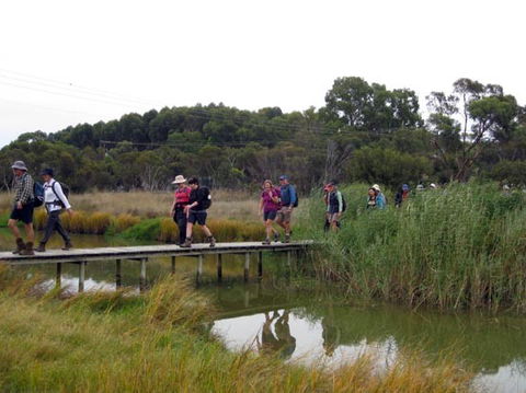 Lavender Federation Trail - Attractions Brisbane 1