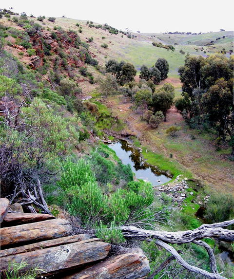 Lavender Federation Trail - Attractions Brisbane 3