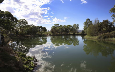 Maggie Beer's Farm Shop - Attractions Brisbane 6
