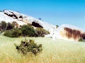 Ucontitchie Hill - Attractions Brisbane 0