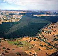 Mount Crawford Forest Reserve - Attractions Brisbane