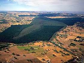 Mount Crawford Forest Reserve - Attractions Brisbane 0