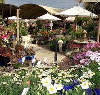 Serenity Nursery - Attractions Brisbane