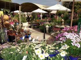Serenity Nursery - Attractions Brisbane 0