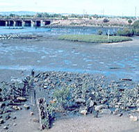 Jervois Basin Ships' Graveyard - Attractions Brisbane