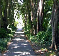 Adelaide Botanic Garden - Attractions Brisbane